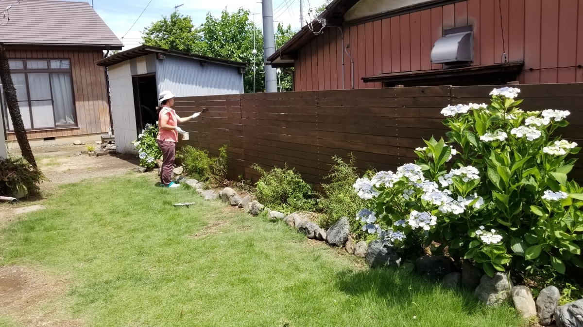 f:id:chaus:20200622211958j:plain f:id:chaus:20200622211958j:plain