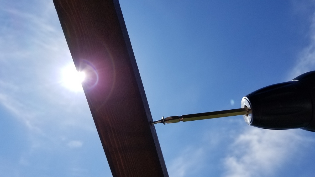 f:id:chaus:20200622213147j:plain f:id:chaus:20200622213147j:plain