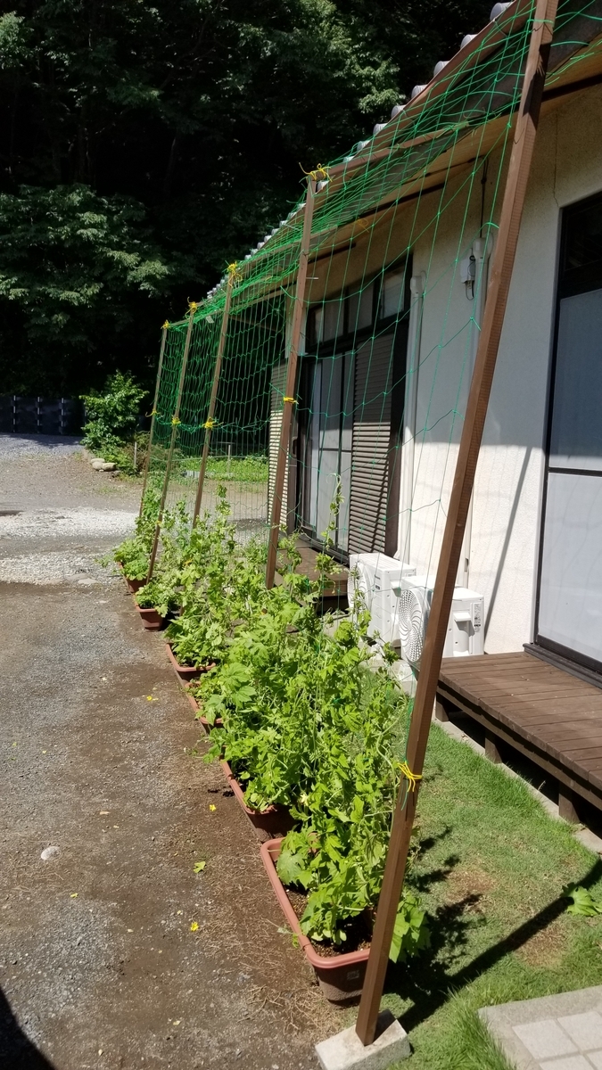 f:id:chaus:20200622213239j:plain f:id:chaus:20200622213239j:plain