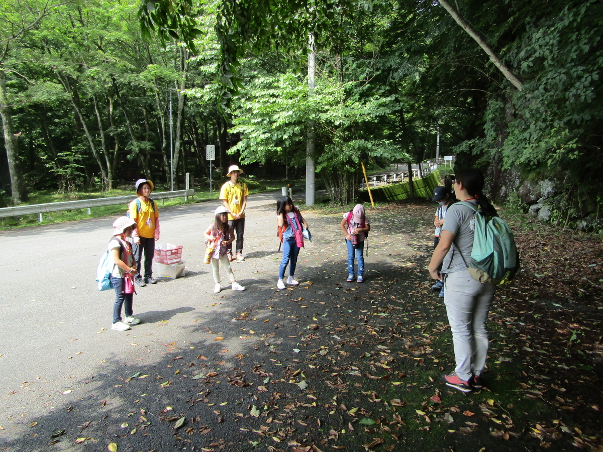 f:id:chaus:20200810105533j:plain