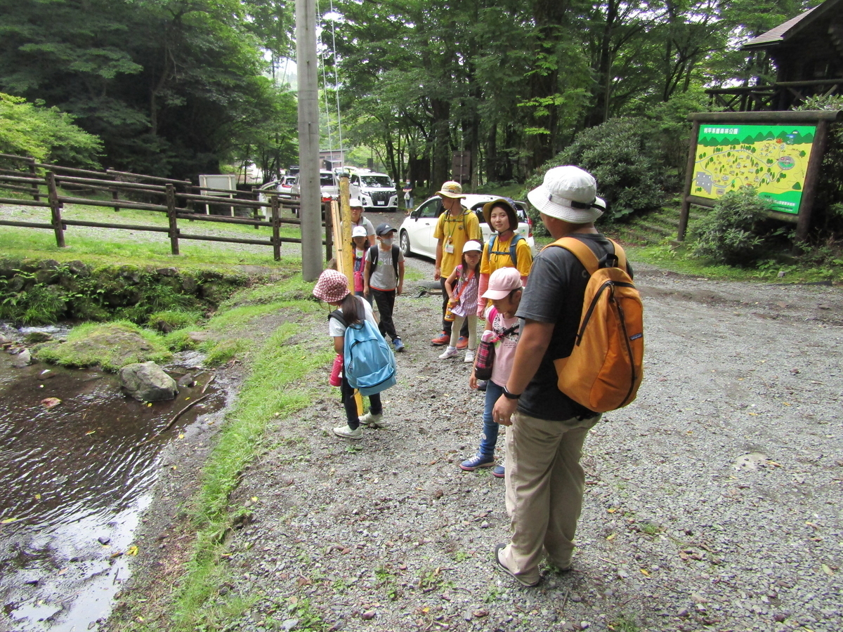 f:id:chaus:20200810105827j:plain