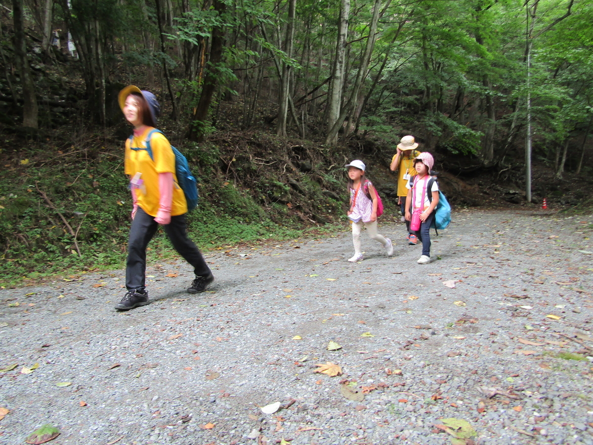 f:id:chaus:20200810110922j:plain