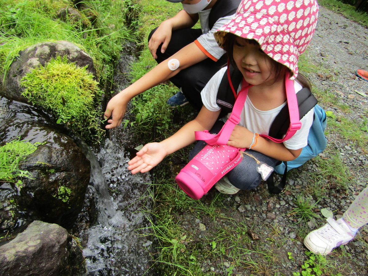 f:id:chaus:20200810111041j:plain