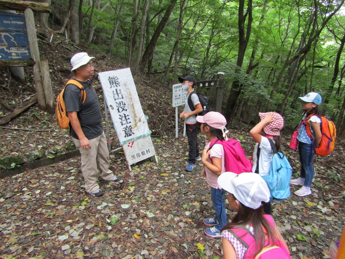 f:id:chaus:20200810111219j:plain