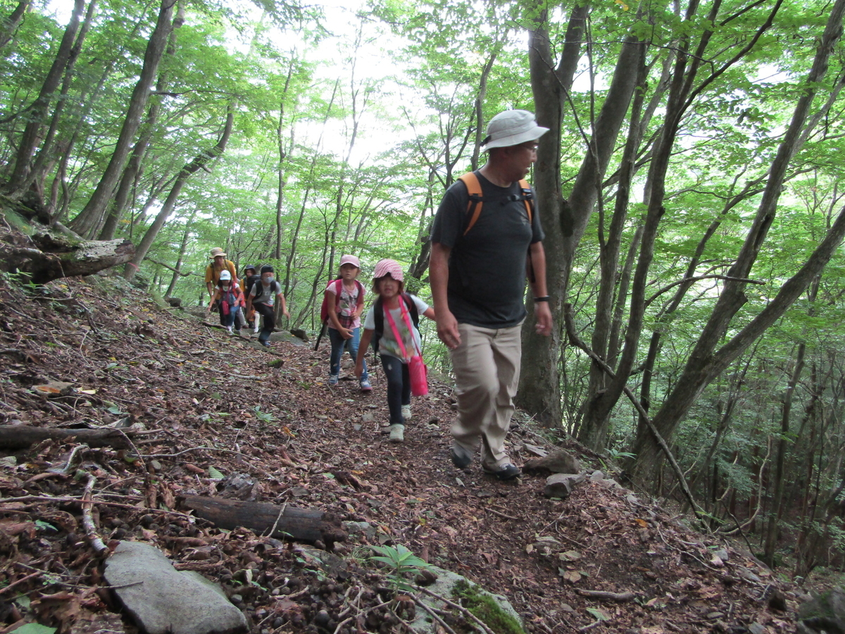 f:id:chaus:20200810111411j:plain