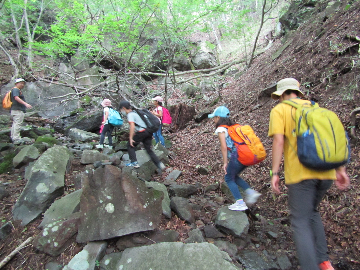 f:id:chaus:20200810111508j:plain