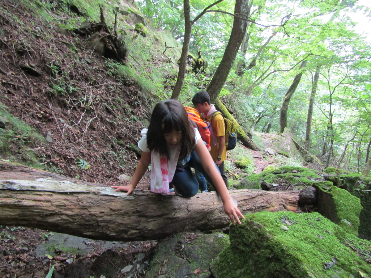 f:id:chaus:20200810111648j:plain