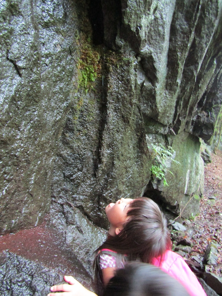 f:id:chaus:20200810111941j:plain