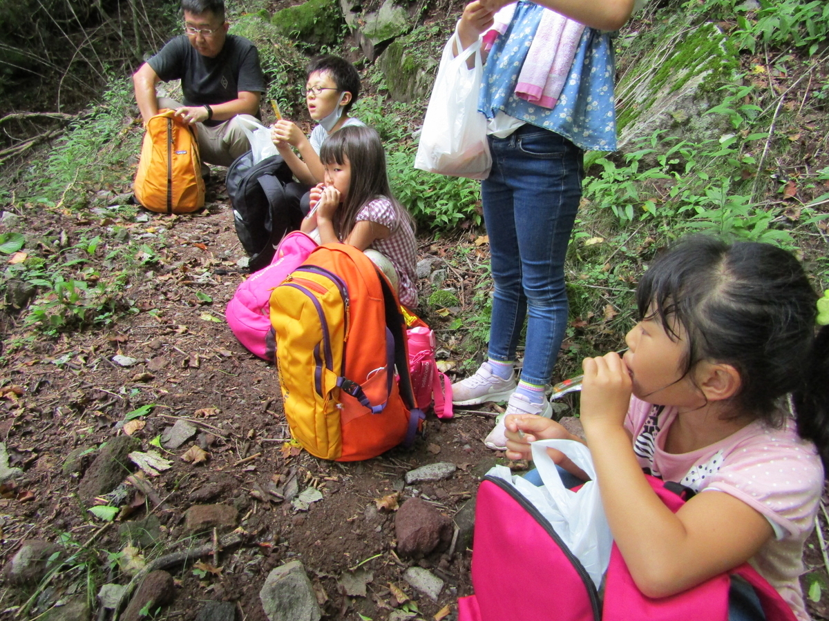 f:id:chaus:20200810112115j:plain