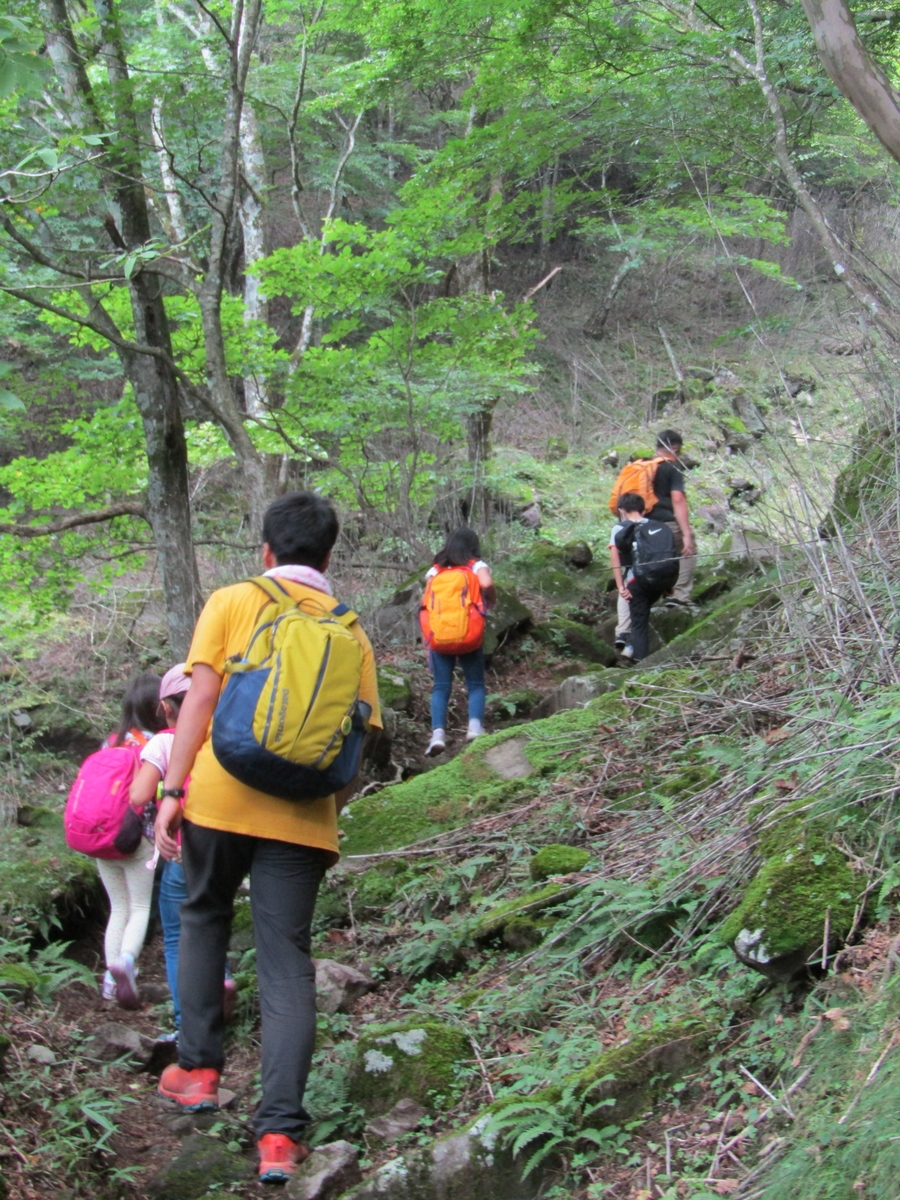 f:id:chaus:20200810112306j:plain