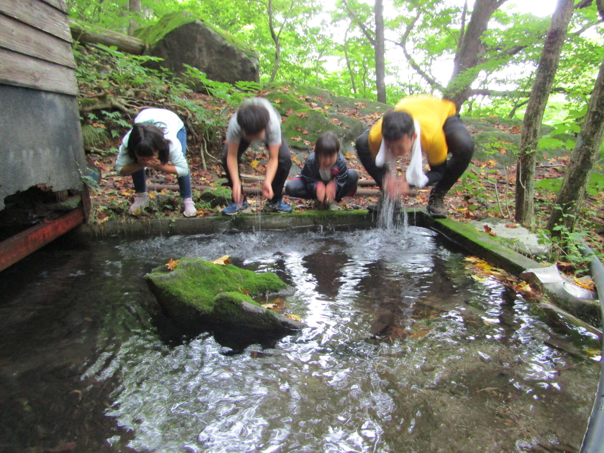 f:id:chaus:20200810113140j:plain