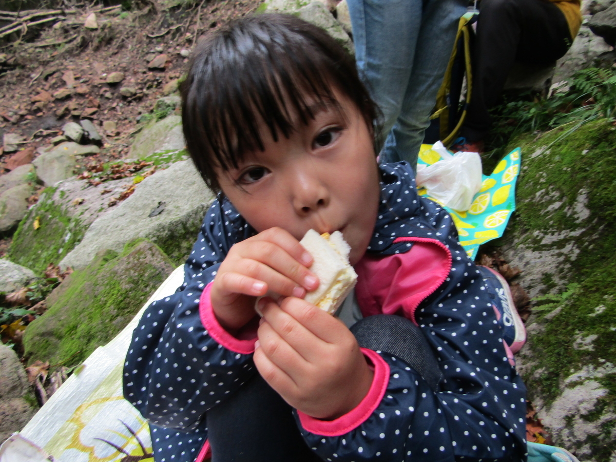 f:id:chaus:20200810113438j:plain