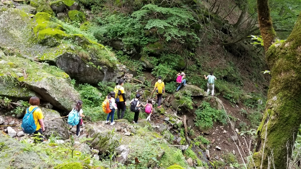 f:id:chaus:20200810113700j:plain