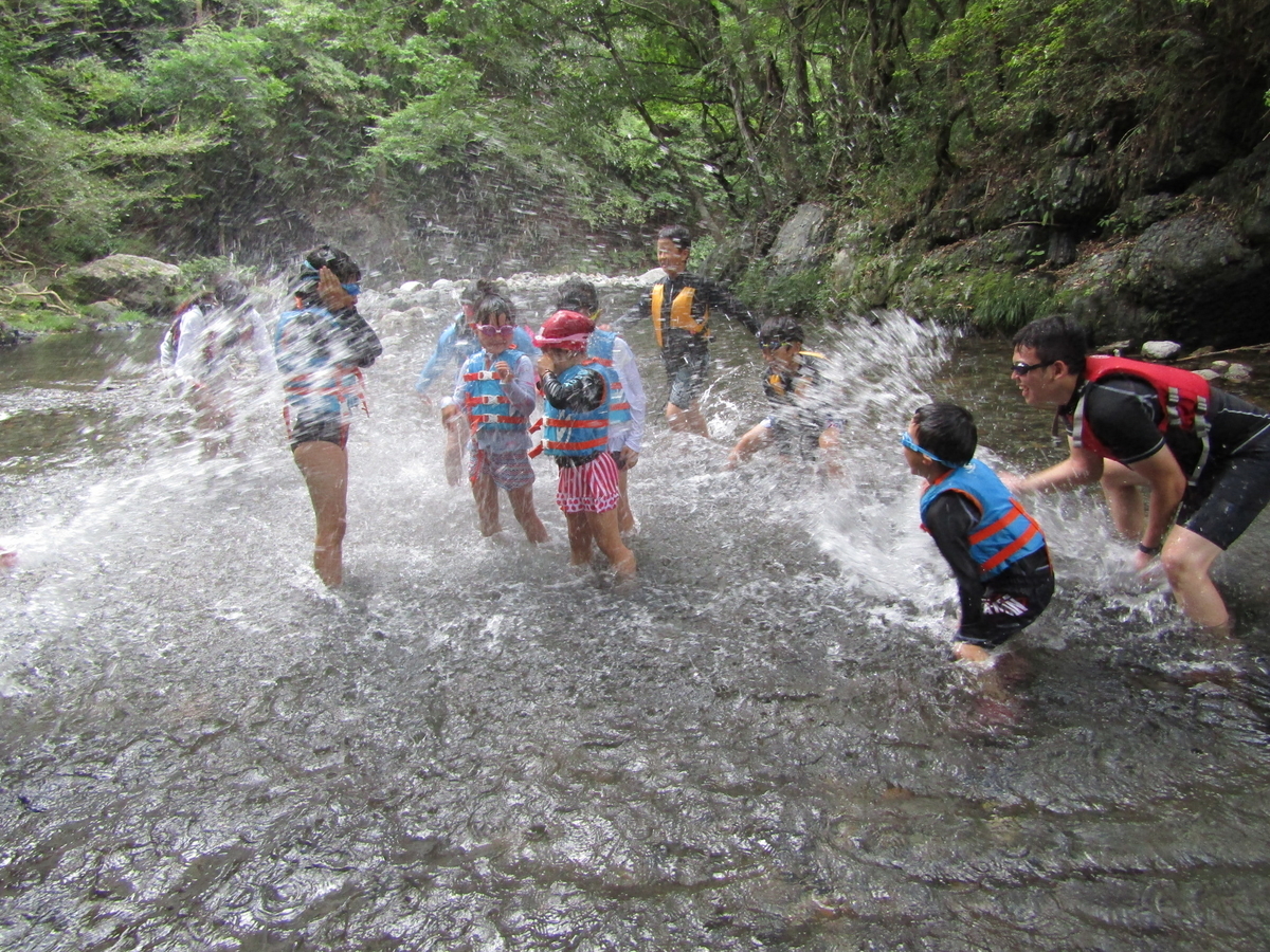 f:id:chaus:20200819225531j:plain f:id:chaus:20200819225531j:plain