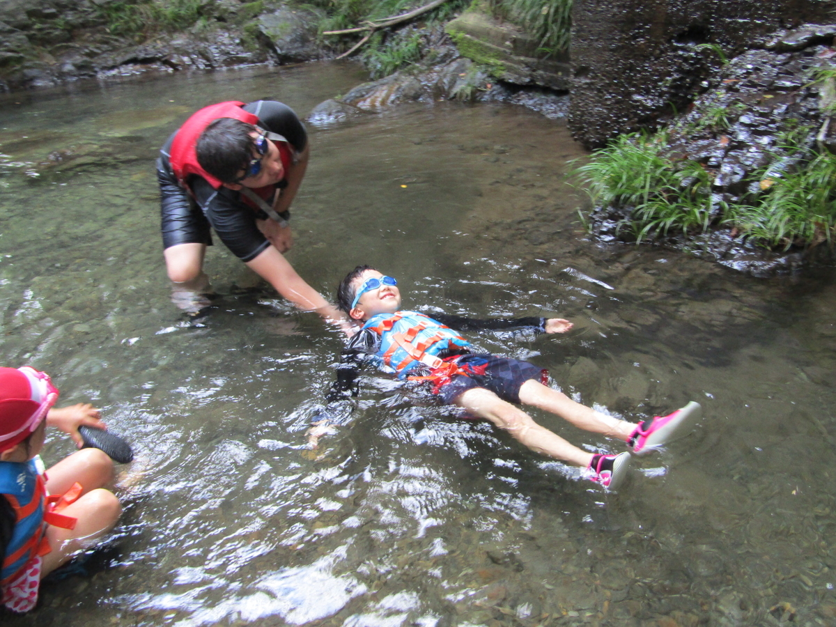 f:id:chaus:20200819230203j:plain f:id:chaus:20200819230203j:plain