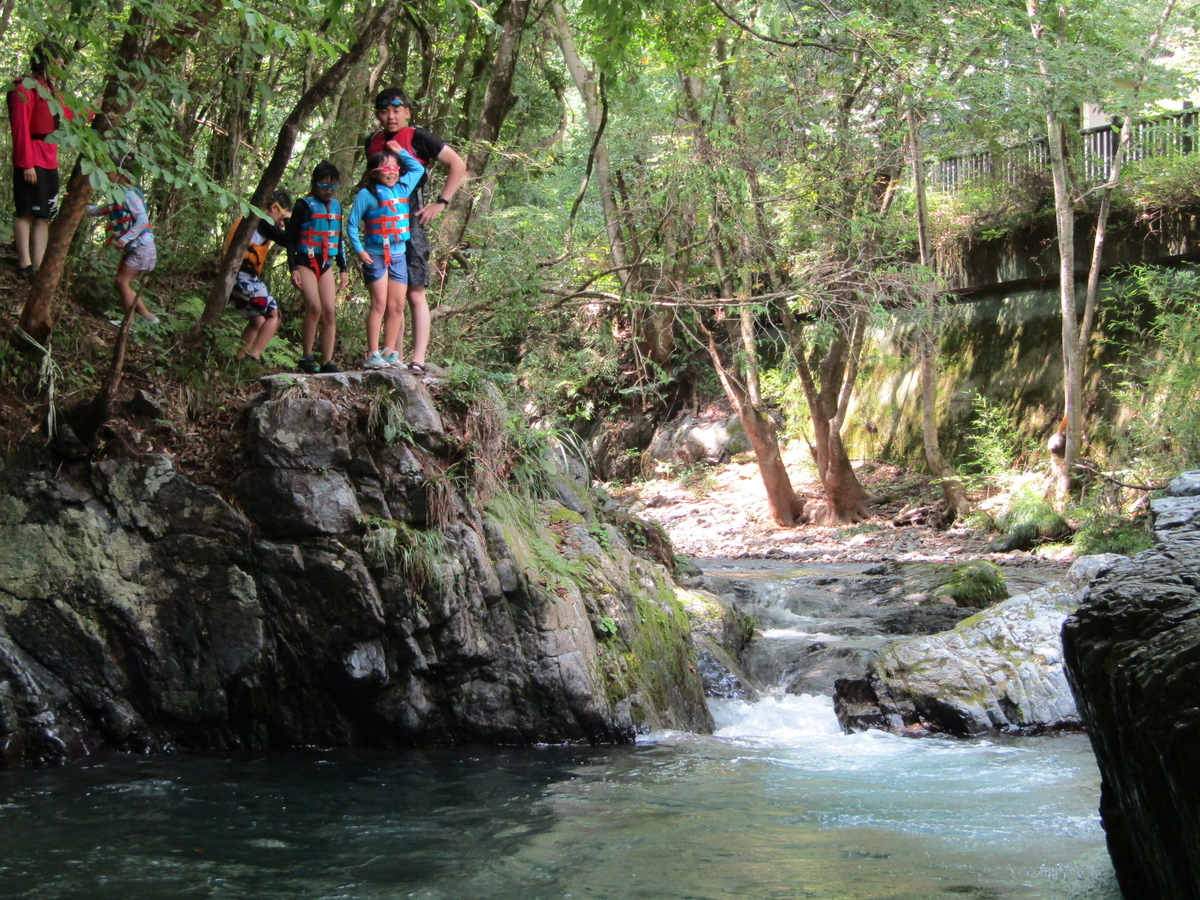 f:id:chaus:20200819232954j:plain f:id:chaus:20200819232954j:plain