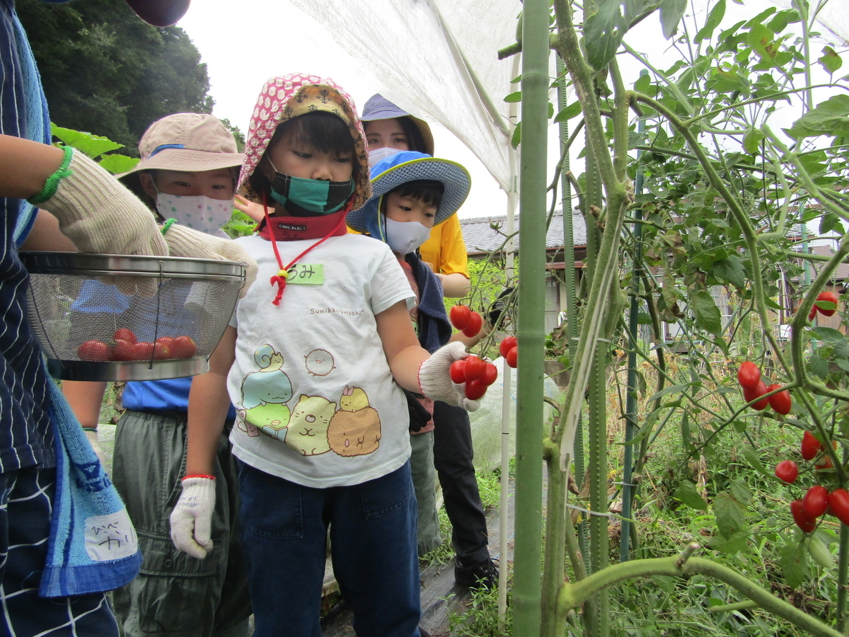 f:id:chaus:20200916131710j:plain