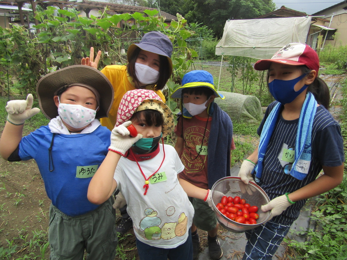 f:id:chaus:20200916132225j:plain