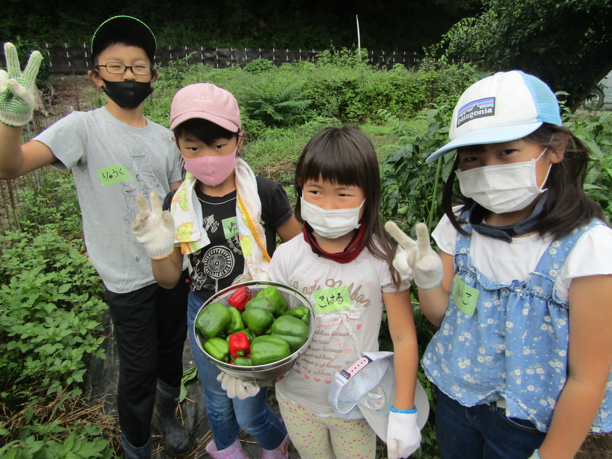 f:id:chaus:20200916132316j:plain