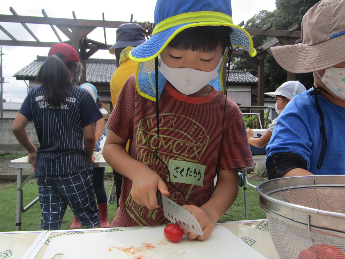 f:id:chaus:20200916132643j:plain