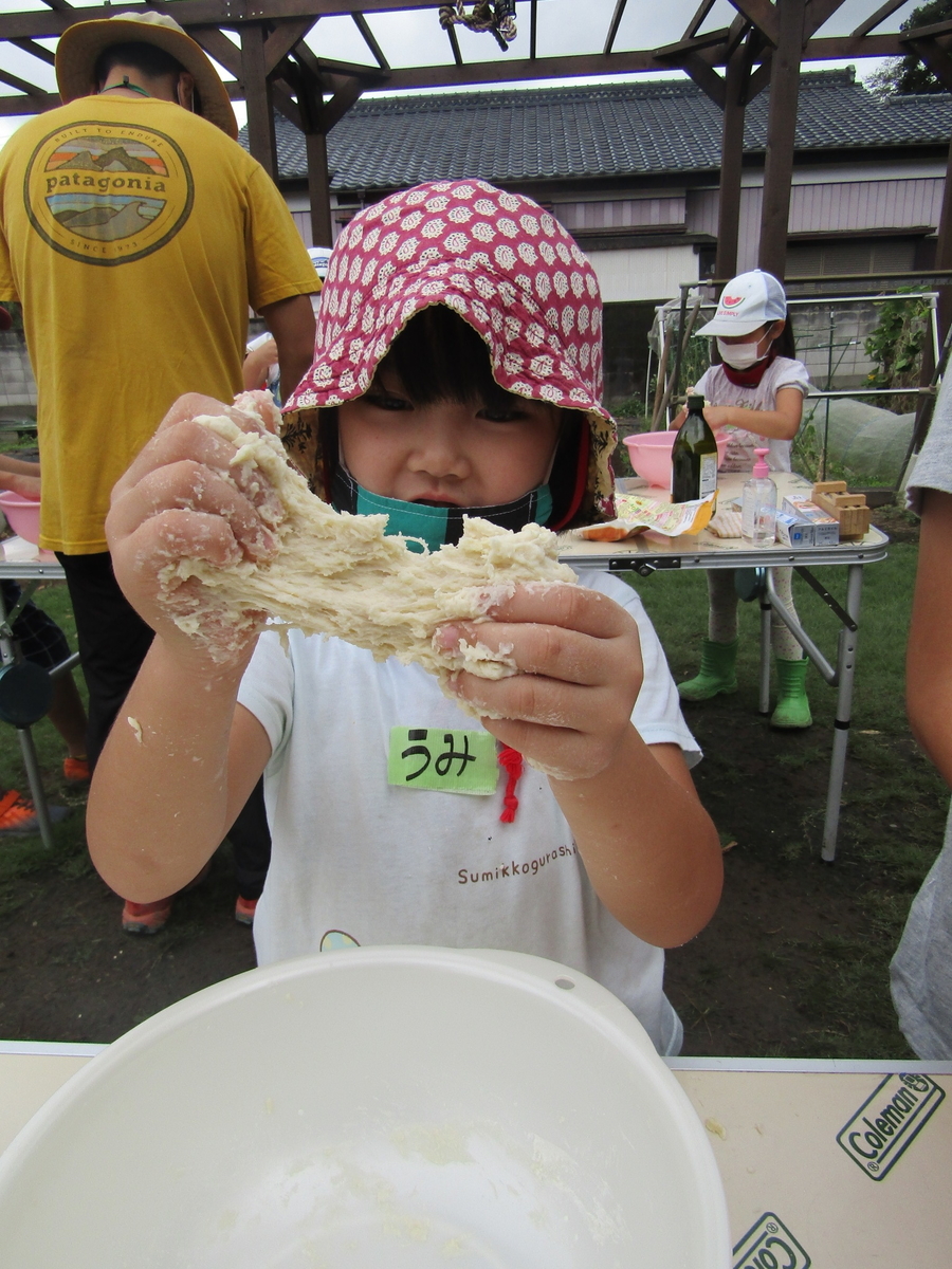 f:id:chaus:20200916135210j:plain