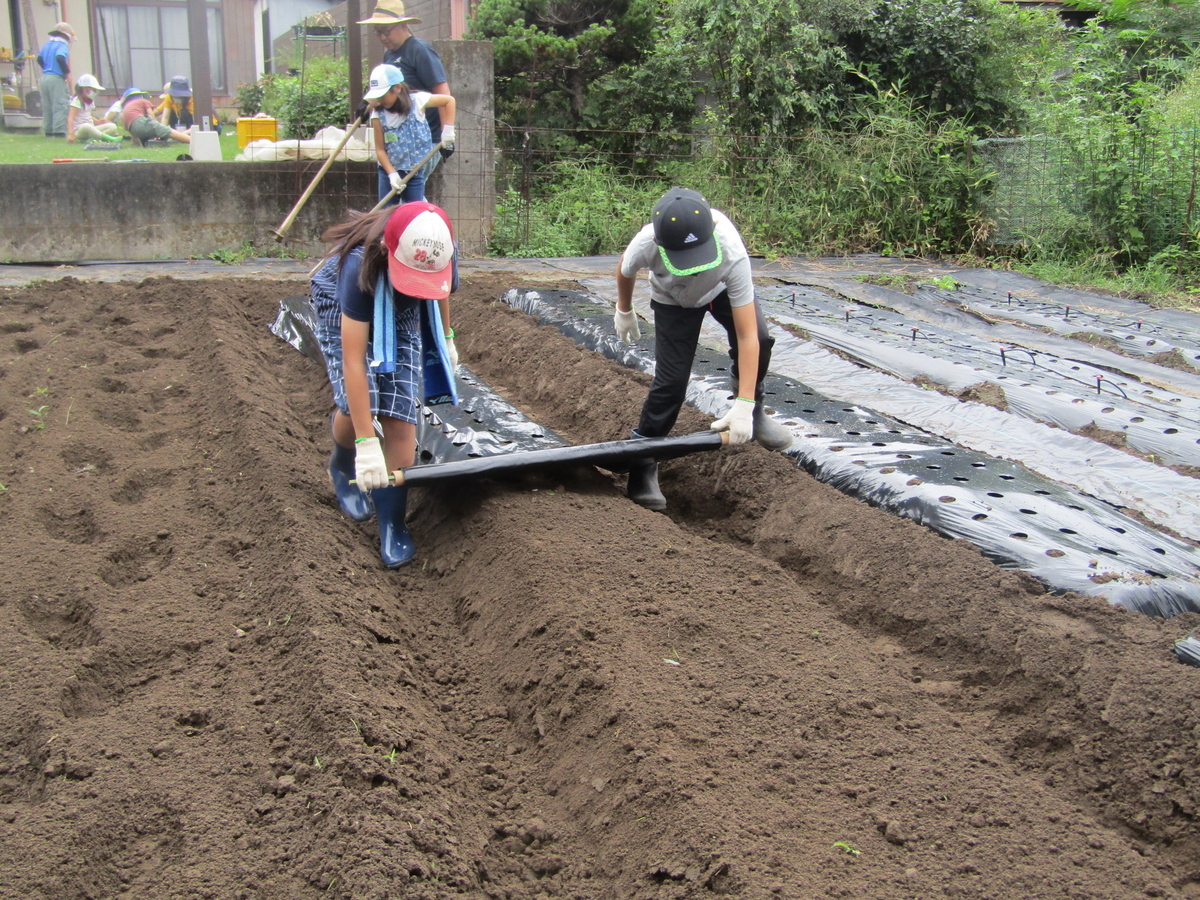 f:id:chaus:20200916144456j:plain