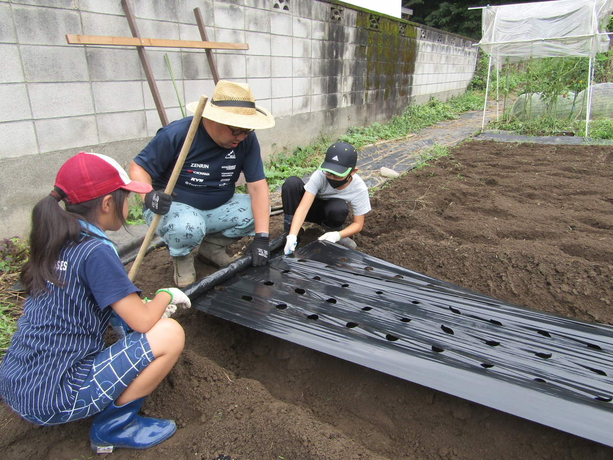 f:id:chaus:20200916150631j:plain