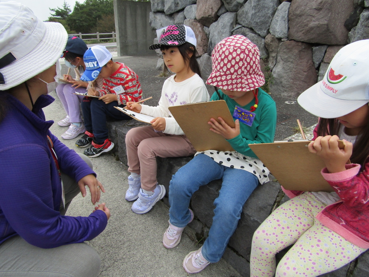 f:id:chaus:20201019092212j:plain f:id:chaus:20201019092212j:plain