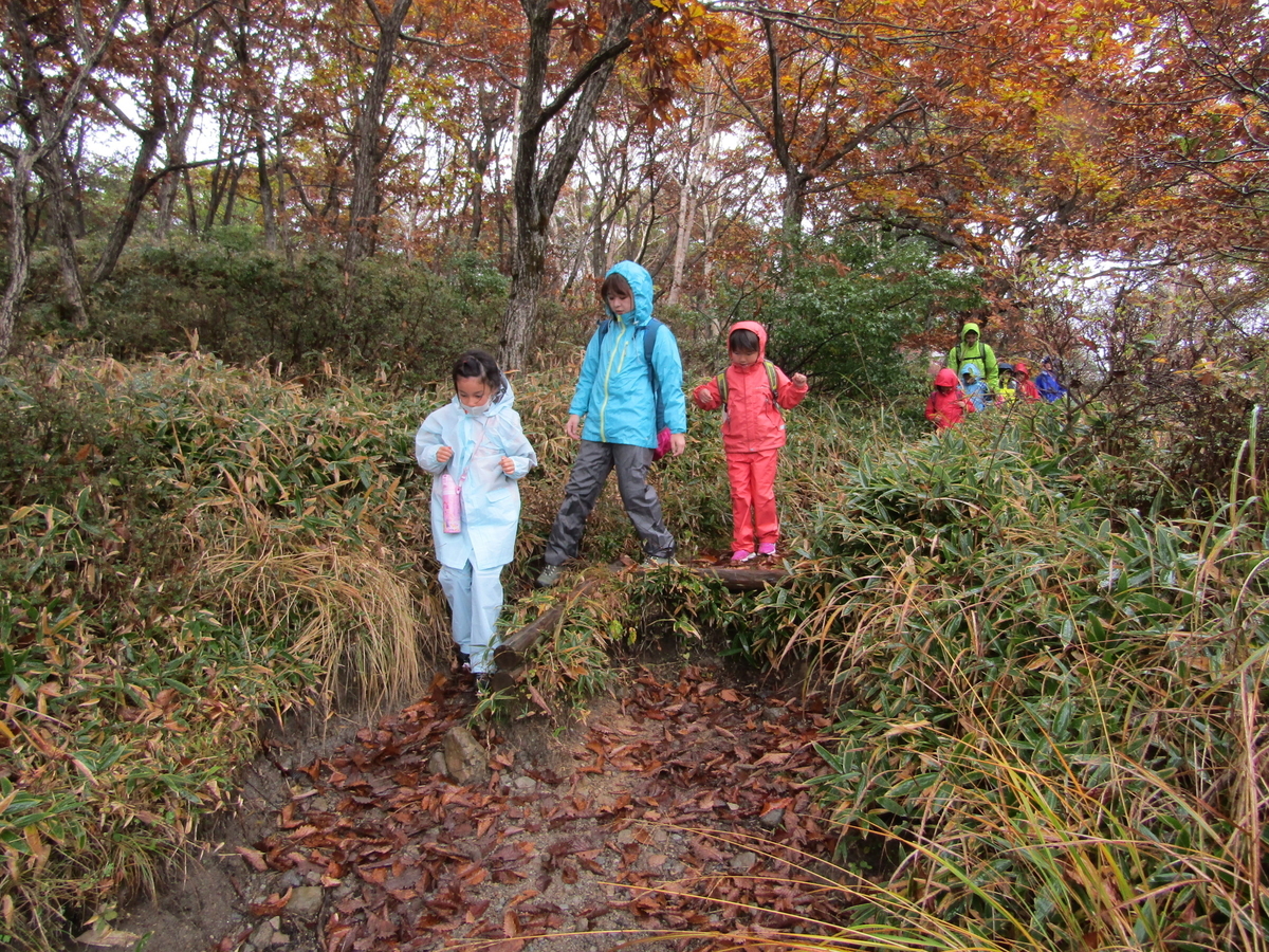 f:id:chaus:20201019092847j:plain f:id:chaus:20201019092847j:plain