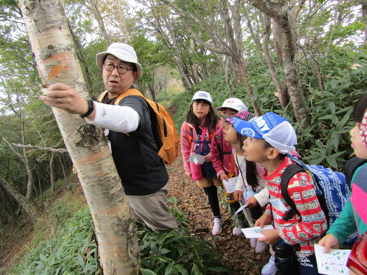 f:id:chaus:20201019093139j:plain f:id:chaus:20201019093139j:plain