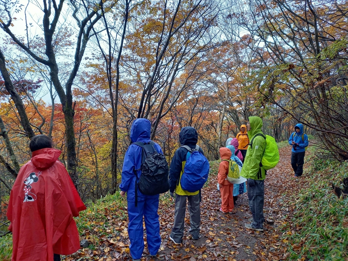 f:id:chaus:20201019093455j:plain f:id:chaus:20201019093455j:plain