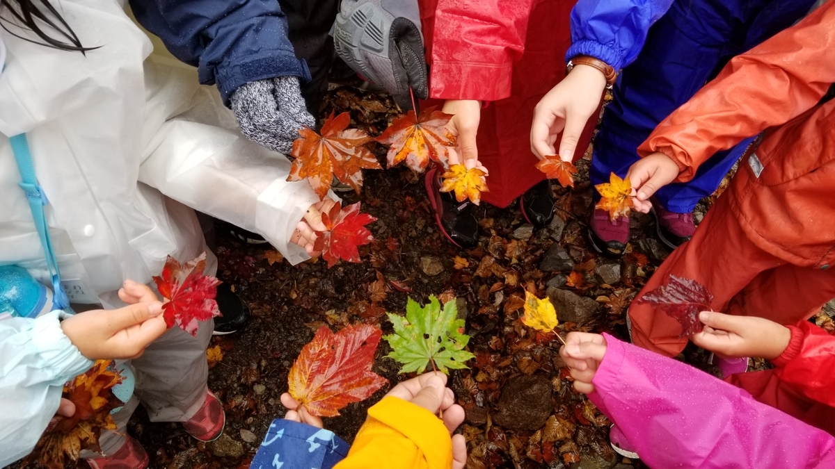 f:id:chaus:20201019093813j:plain f:id:chaus:20201019093813j:plain