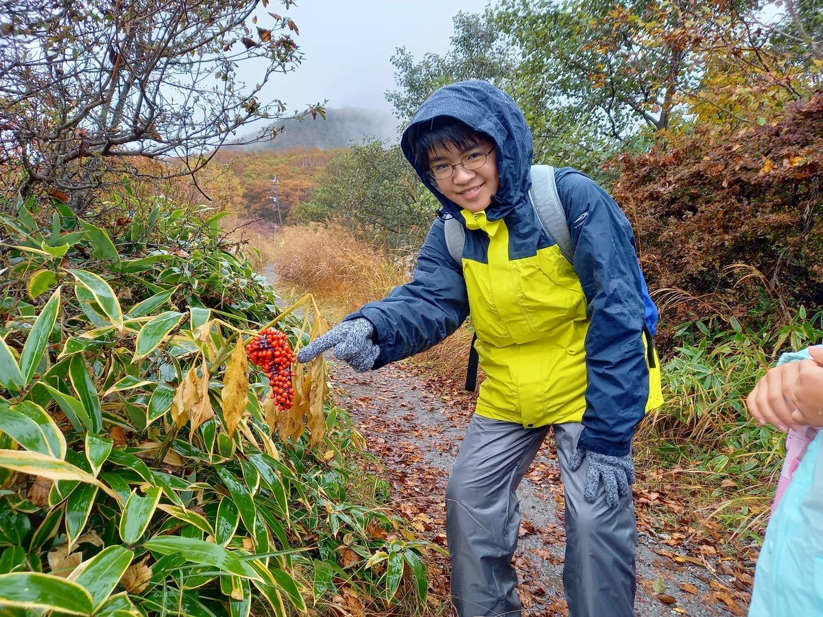 f:id:chaus:20201019093909j:plain f:id:chaus:20201019093909j:plain