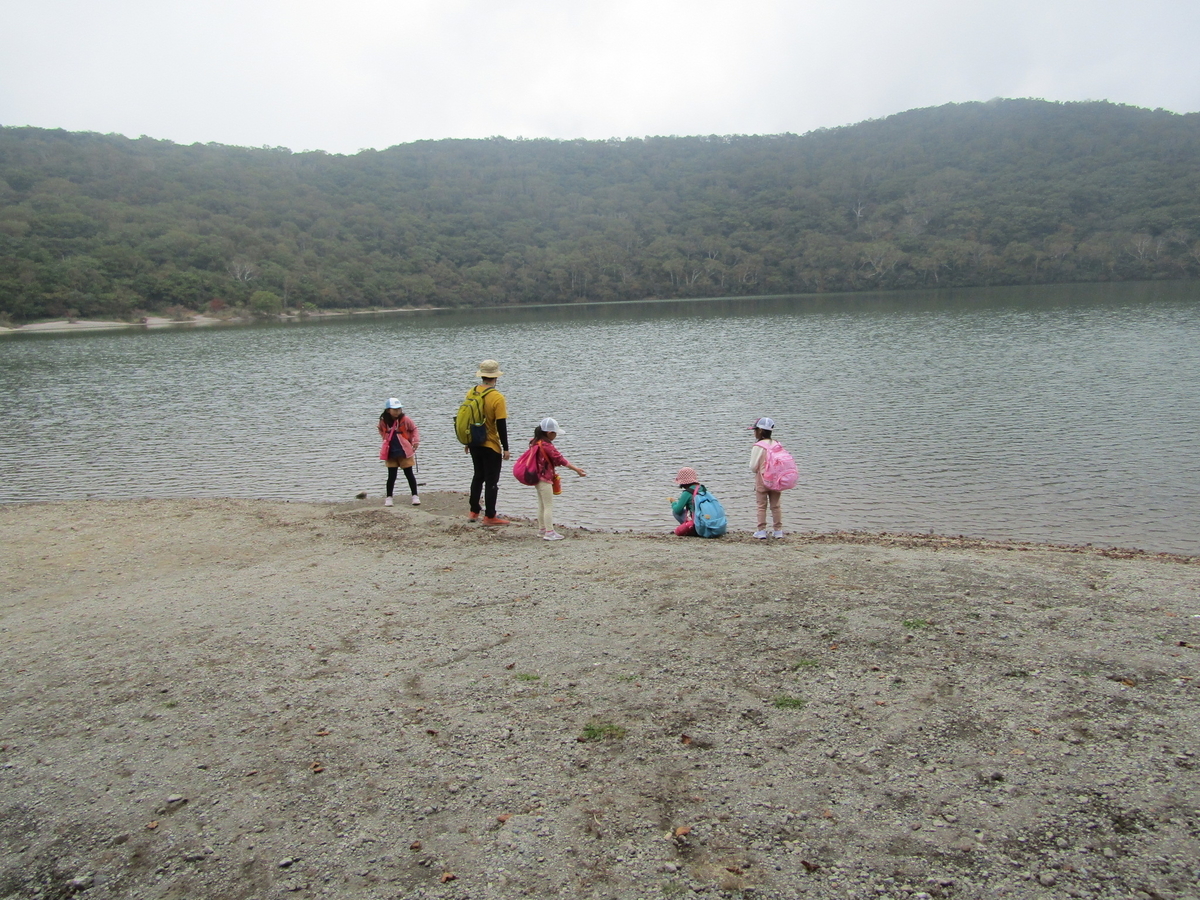 f:id:chaus:20201019094638j:plain f:id:chaus:20201019094638j:plain