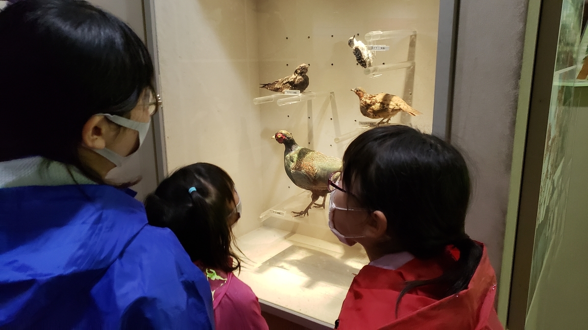 f:id:chaus:20201019094943j:plain f:id:chaus:20201019094943j:plain