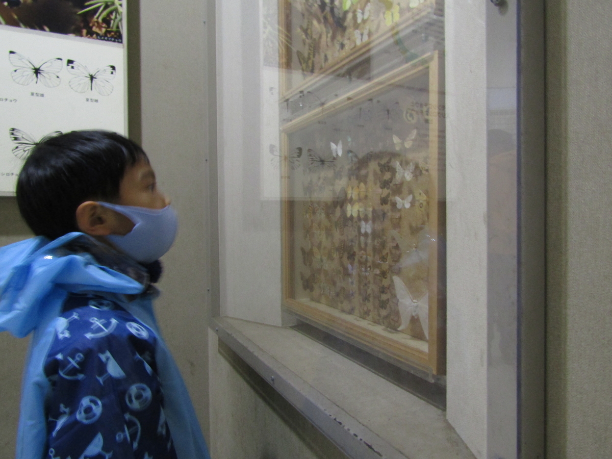 f:id:chaus:20201019095020j:plain f:id:chaus:20201019095020j:plain