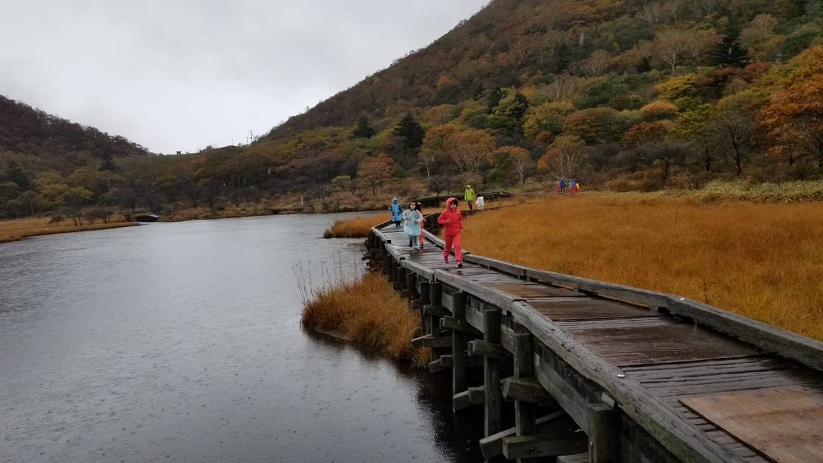 f:id:chaus:20201019095254j:plain f:id:chaus:20201019095254j:plain