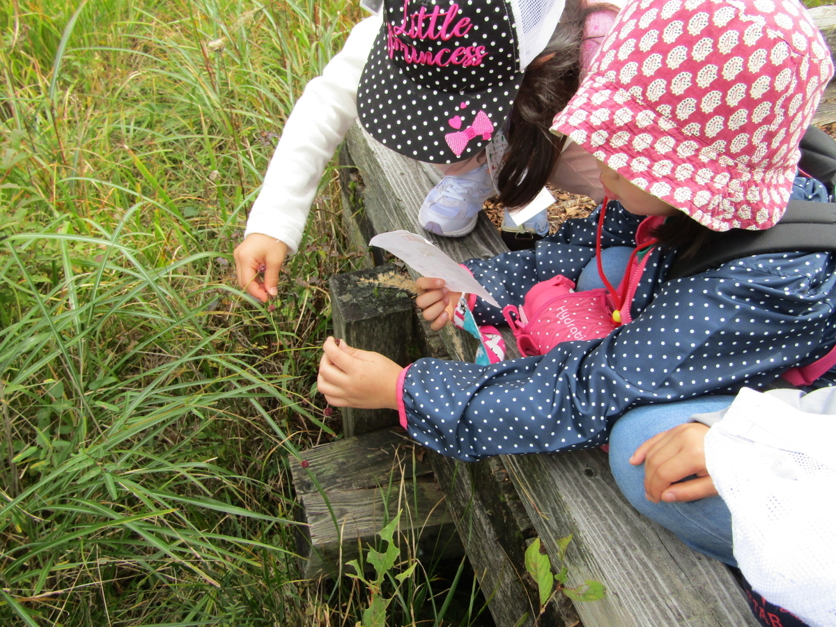 f:id:chaus:20201019095643j:plain f:id:chaus:20201019095643j:plain