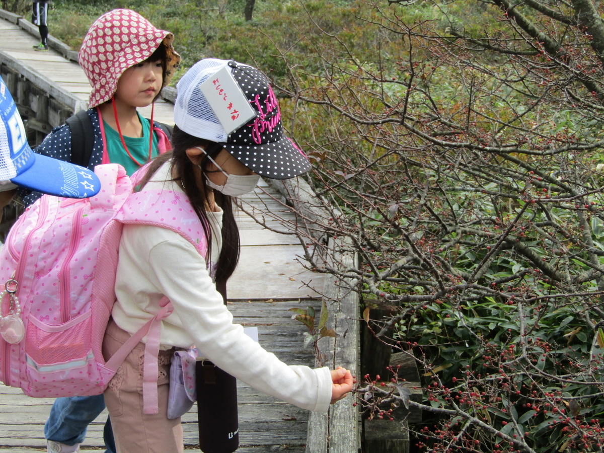 f:id:chaus:20201019095701j:plain f:id:chaus:20201019095701j:plain