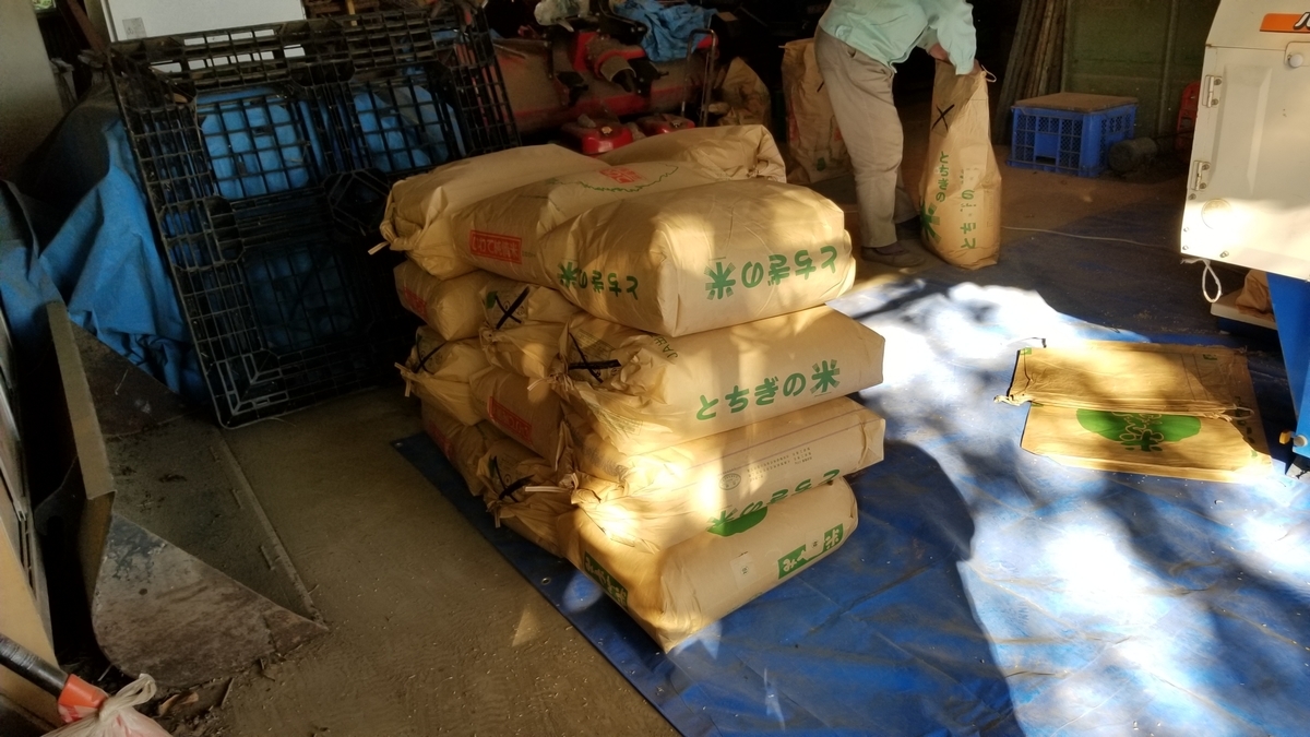 f:id:chaus:20201027084653j:plain f:id:chaus:20201027084653j:plain