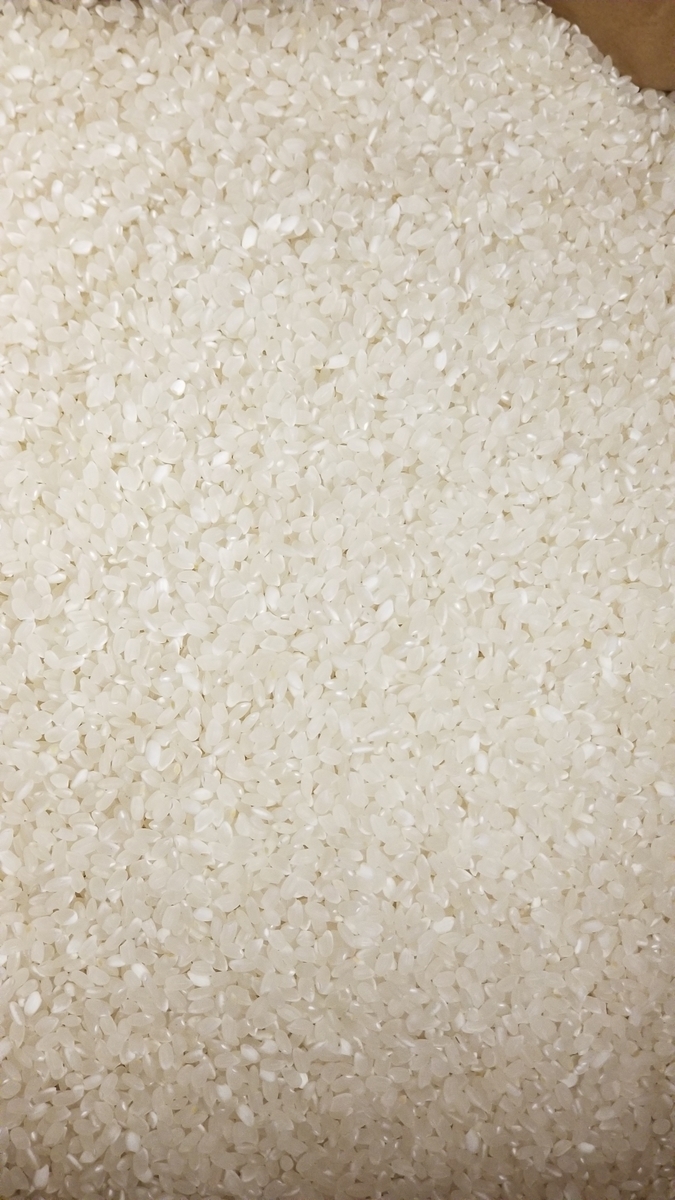 f:id:chaus:20201027085631j:plain f:id:chaus:20201027085631j:plain