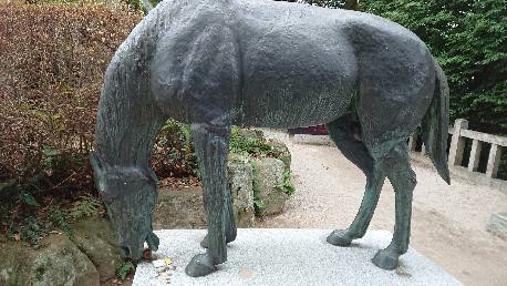 f:id:chayarokurokuro:20190914184041j:plain f:id:chayarokurokuro:20190914184041j:plain