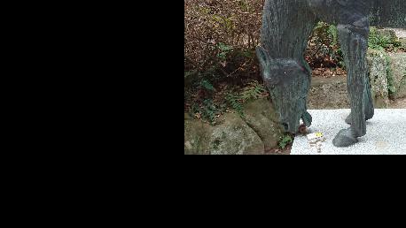 f:id:chayarokurokuro:20190914184322j:plain f:id:chayarokurokuro:20190914184322j:plain