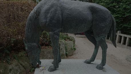 f:id:chayarokurokuro:20190914184547j:plain f:id:chayarokurokuro:20190914184547j:plain