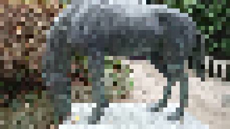 f:id:chayarokurokuro:20190914184624j:plain f:id:chayarokurokuro:20190914184624j:plain