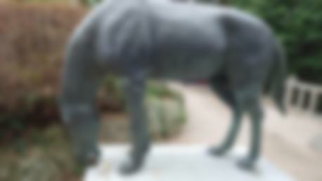 f:id:chayarokurokuro:20190914184640j:plain f:id:chayarokurokuro:20190914184640j:plain