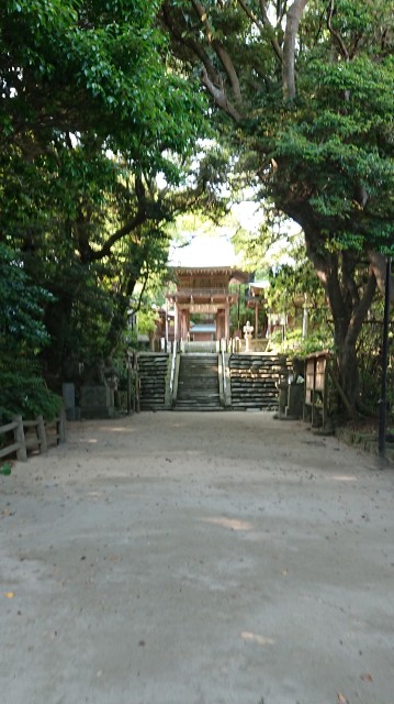 f:id:chayarokurokuro:20200603122219j:plain