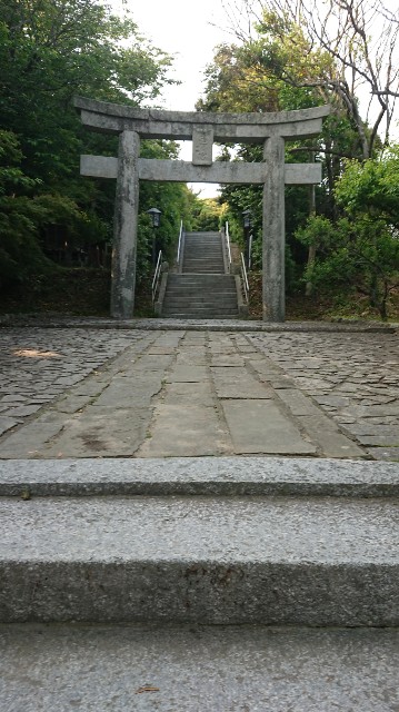 f:id:chayarokurokuro:20200603142324j:plain