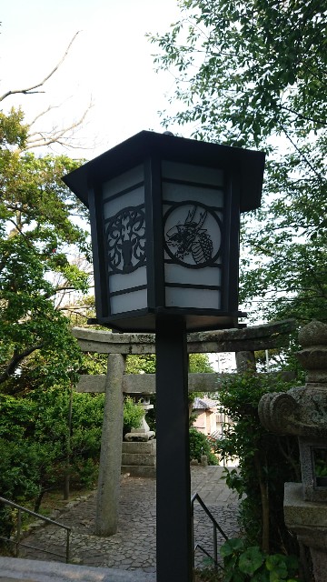 f:id:chayarokurokuro:20200603143206j:plain