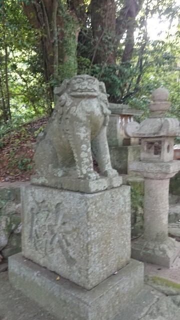 f:id:chayarokurokuro:20200603151509j:plain